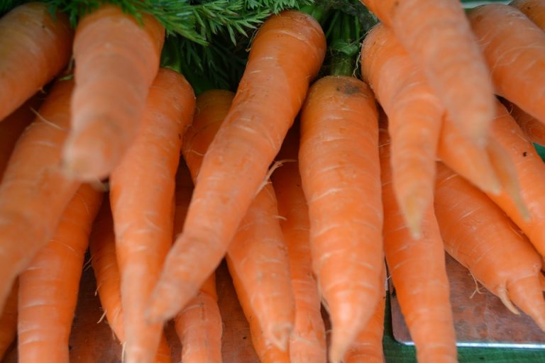 В Латвии значительно вырос интерес жителей к эко-продуктам