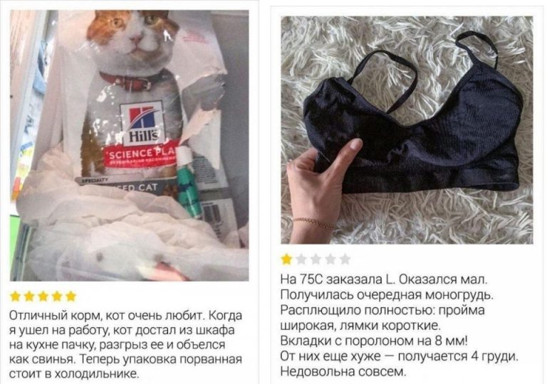 10 забавных отзывы о разных вещах, чего стоит отзыв на отделение полиции