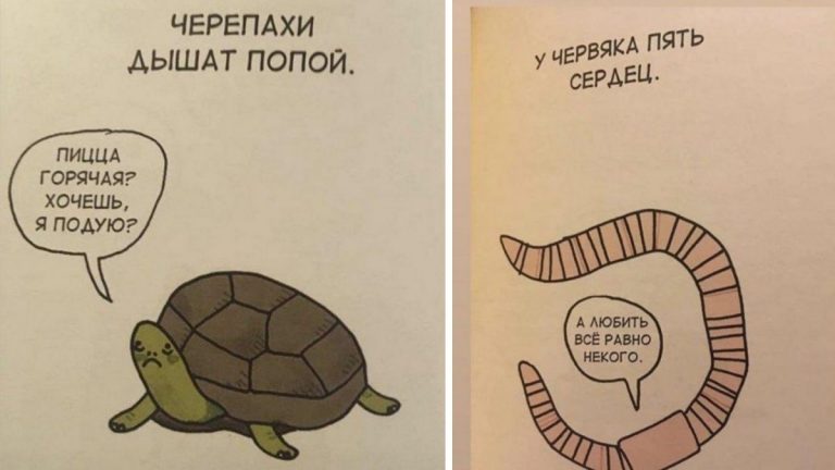 Смешные факты о животных с грустинкой