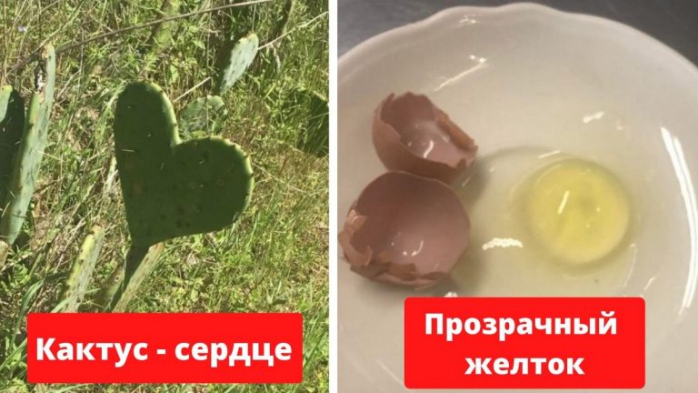 Фантастические фото о сюрпризах, которые создает природа