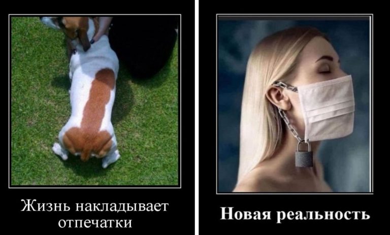 Новая порция убойных демотиваторов и когда жизнь накладывает отпечатки