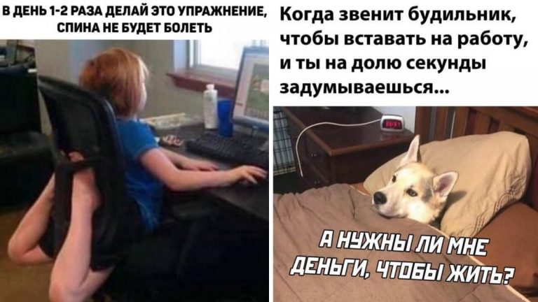 Веселые картинки с надписями и упражнения для спины