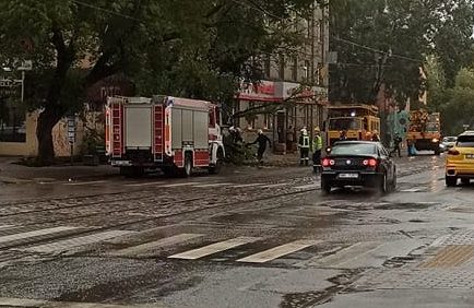 ГПСС получила больше 40 вызовов из-за сильного ветра (ФОТО и ВИДЕО)