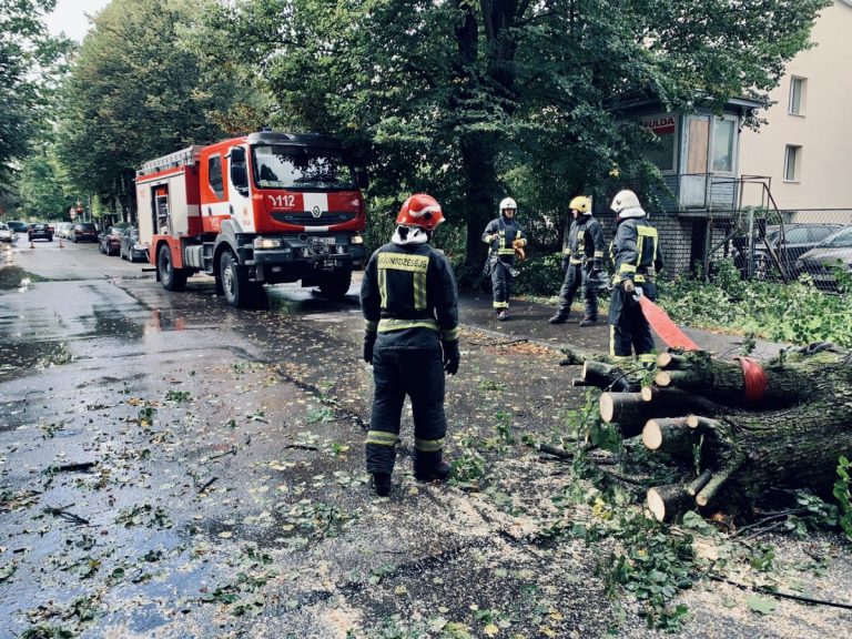 ВИДЕО: из-за сильного ветра в Риге на проезжую часть упало дерево