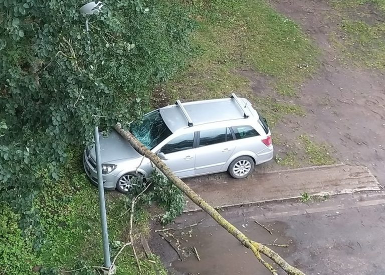 ФОТО: разрушительный ветер валит деревья по всей Риге