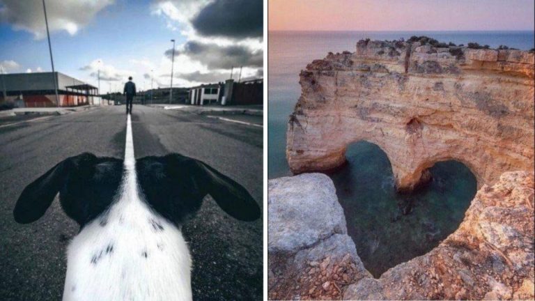 Фотографии без фотошопа, глядя на которые верится в это с трудом