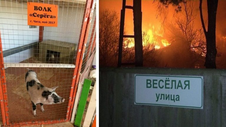 Странные и смешные ситуации с российских просторов