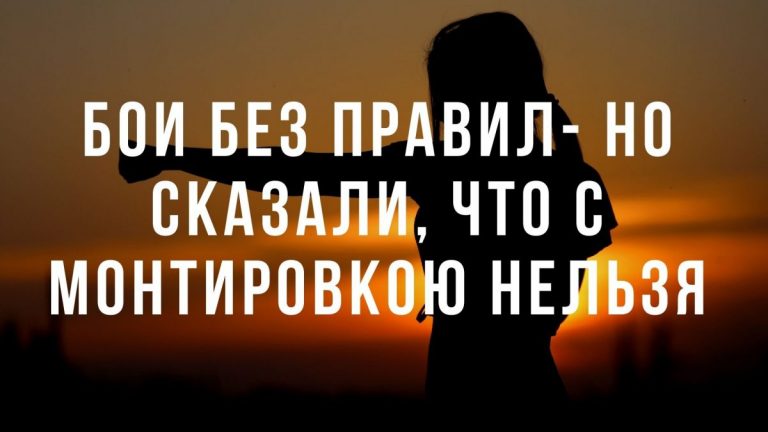 Юмор за день и бои без правил