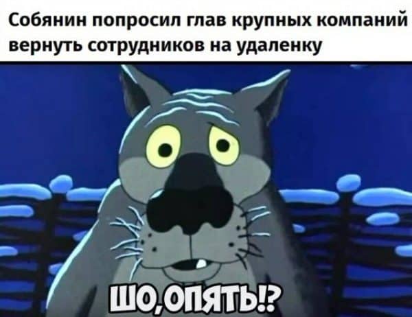 Бегите на удаленку, глупцы: реакция сети на слухи о  введении ограничений из за COVID