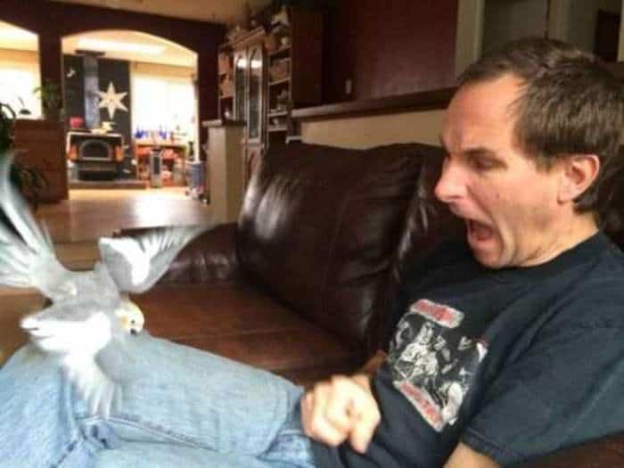 17 фотографий, сделанных в нужный момент и невозмутимый дедушка