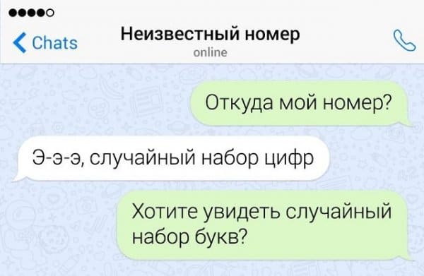 Рыбный плов, ночнокопытные кошки и любовь к пельменям: самые странные переписки (15 фото)