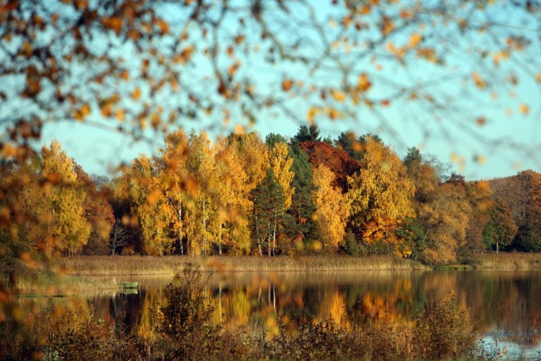 Погода на первый день октября: сухо и солнечно