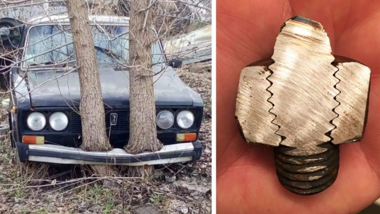 20 фото на случай если любишь открывать для себя что-то новое