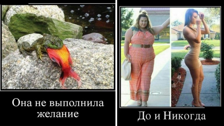 Сочные демотиваторы, разгоняющие тоску на раз-два!