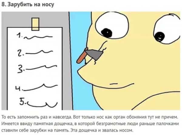 Какие очки втирают и на каком носу рубят: раскройте тайну 10 русских выражений