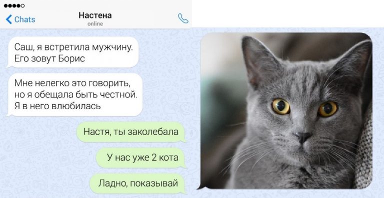 15 переписок с неожиданным финалом и новый мужчина
