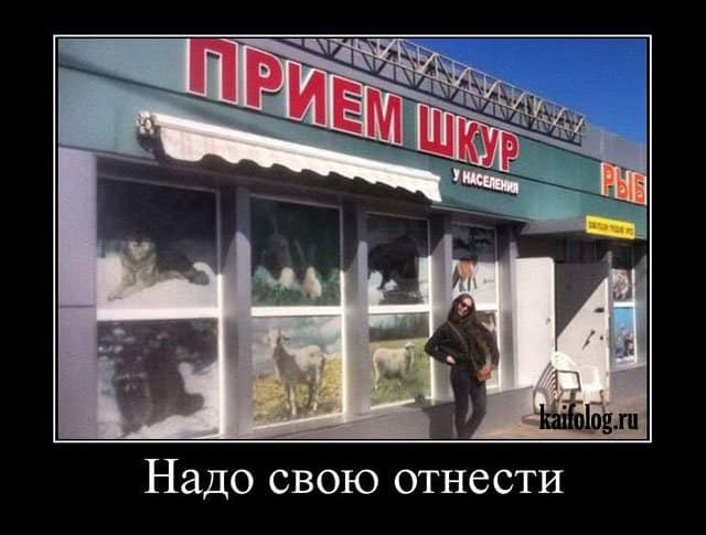 Мегаржачные демотиваторы, выбивающие слезы из глаз!