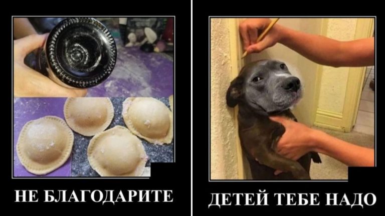 Доза горячих демотиваторов для стабилизации юмора в организме!