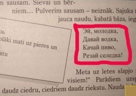 Водка, декадентство, кладбище собак: как иностранцы учат русский язык? (16 фото)