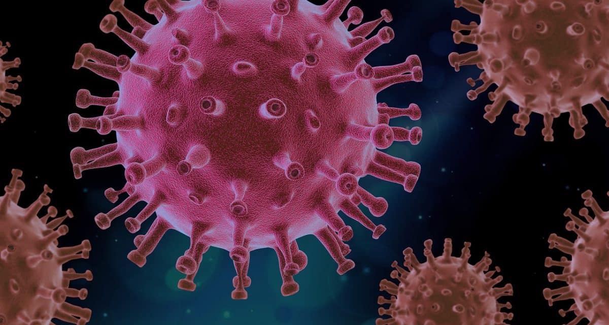 Ученые из США: иммунитет от COVID-19 сохраняется не менее пяти месяцев | Mixnews