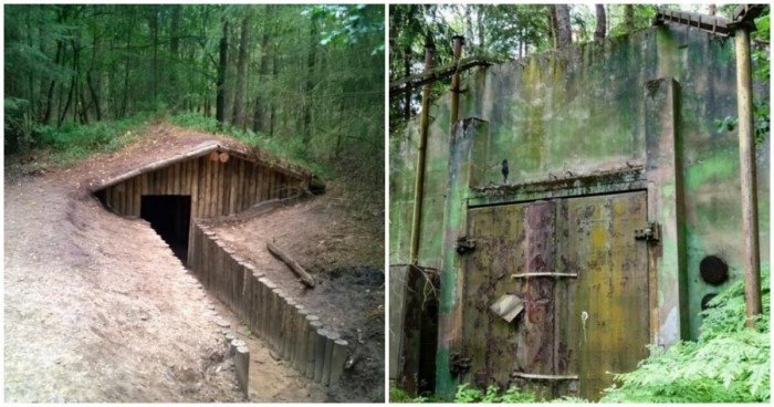 Заброшенные жилища в лесу — идеально для самоизоляции (14 фото)