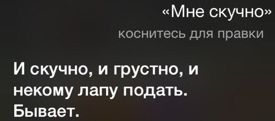 Siri-шутница, ИИ научился в юмор (15 фото)