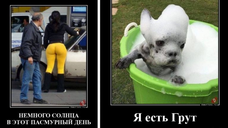 Порция четких демотиваторов, заряжающих хорошим настроением!