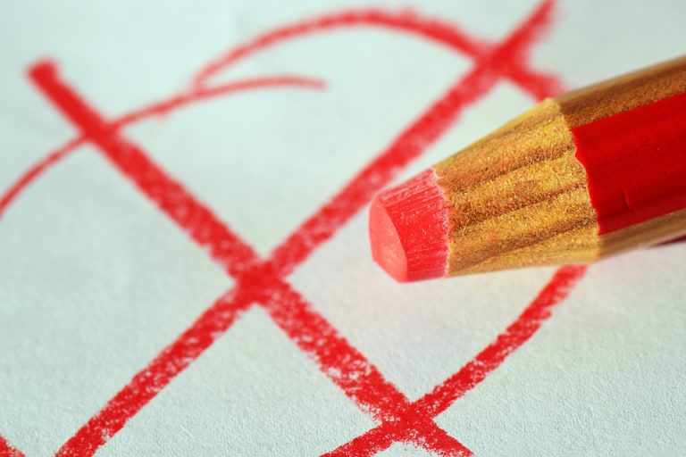 В молодежной организации объяснили, почему 16-летним латвийцам надо дать право голоса