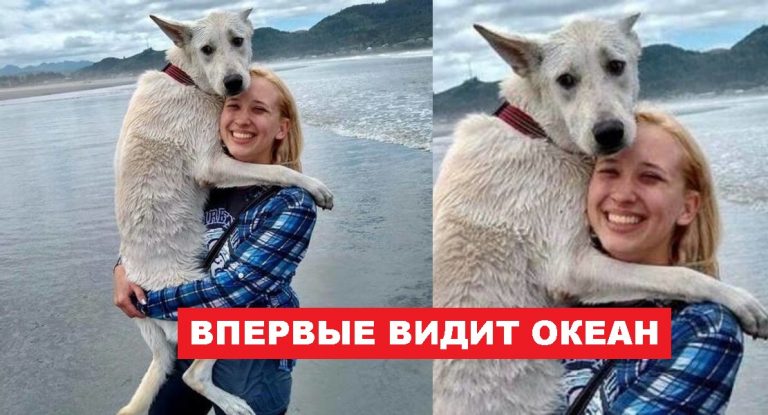 Реакция животных, с которыми что-то происходит в первый раз (20 ФОТО)