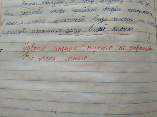 «Твоего мнения никто не спрашивал»: школьнику поставили тройку за выражение мнения в сочинении