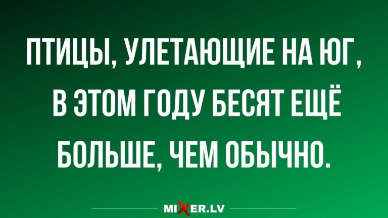 Юмор за день и когда птицы засобирались на юг