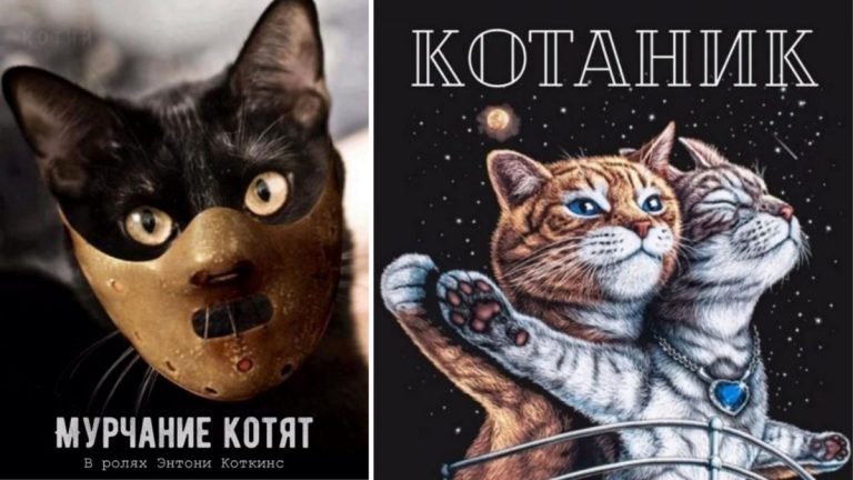 Мурчание котят, властелин лотков и другие кино афиши если бы в них играли котики