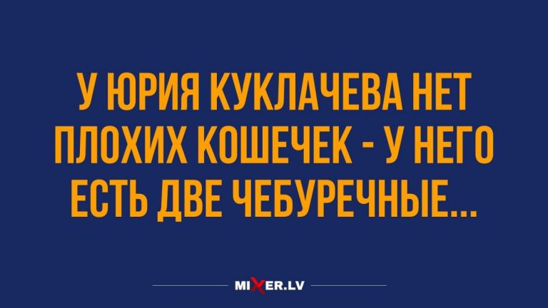 Юмор за день и плохие кошечки у Юрия Куклачева