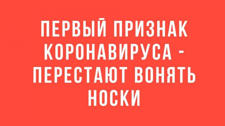 Юмор а день и и первые признаки что у вас вирус
