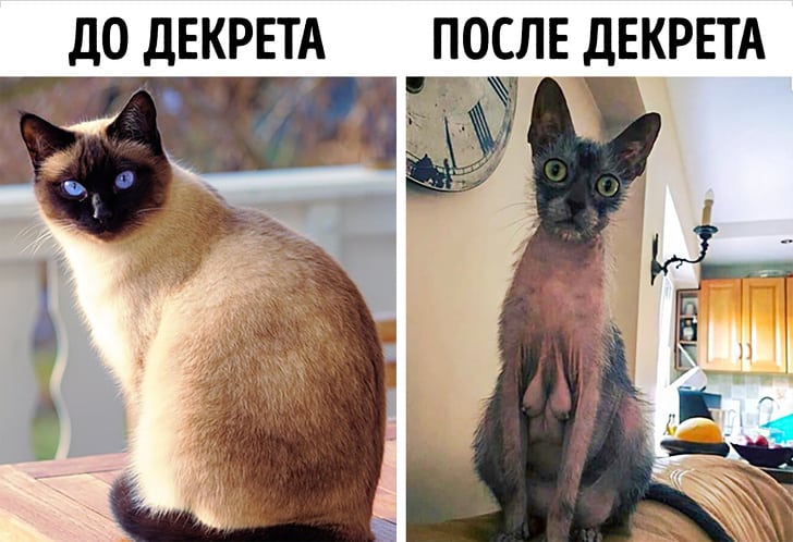 Смешные доказательства, что мир меняется с бешеной скоростью