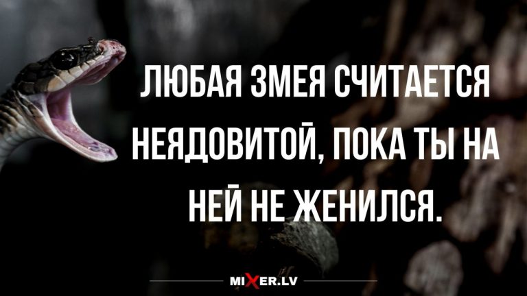 Юмор за день не ядовитые змеи