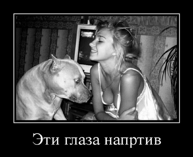 Порция отличных демотиваторов для убойного настроения