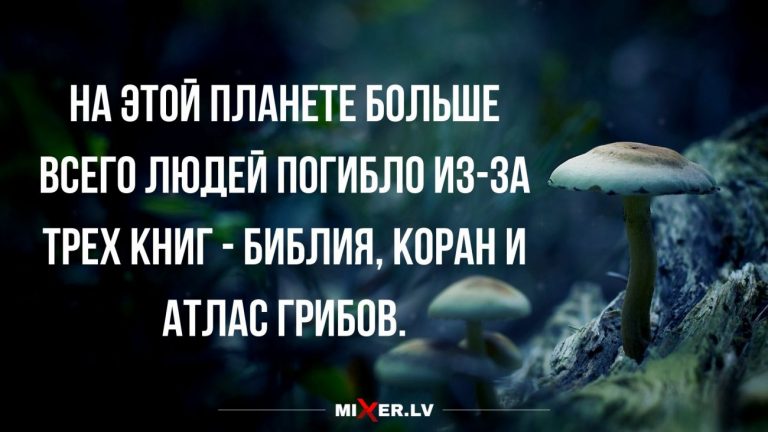 Юмор за день и самые опасные книги на планете