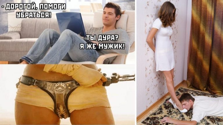 Отойди от плиты, женщина: разбираемся в породах подкаблучников