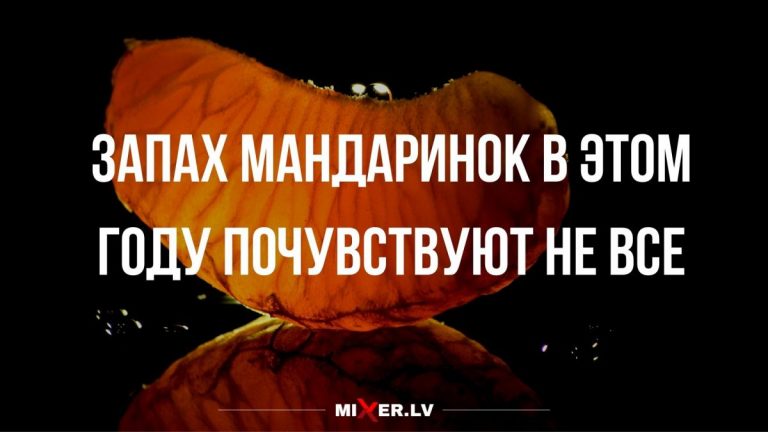 Юмор за день и запах мандаринок