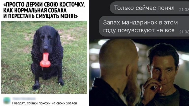 Подборка фото приколов на утро и такая вот косточка