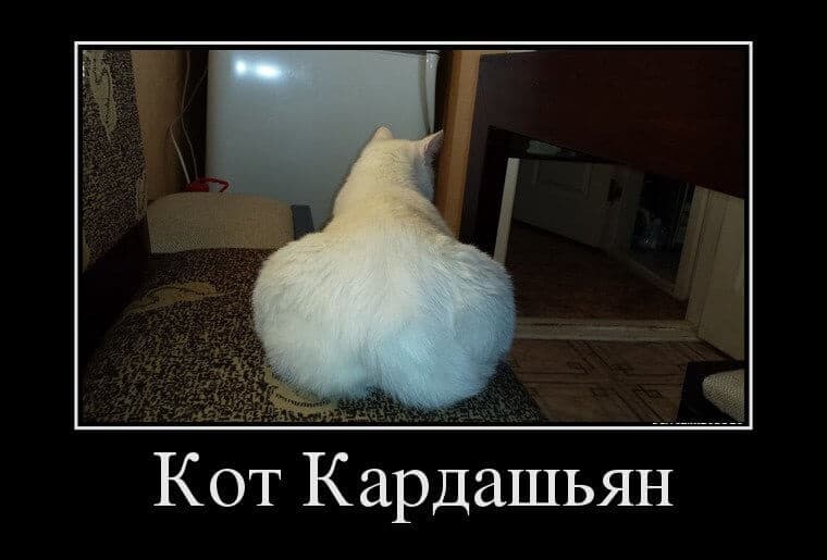 Свеженькие демотиваторы для отличного настроения и шикарного дня