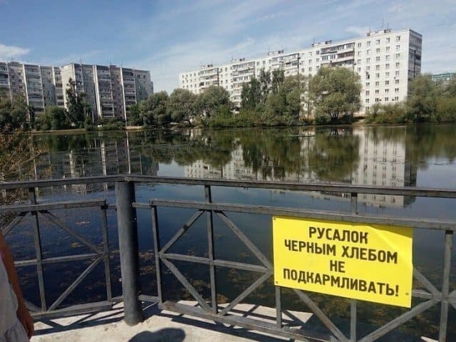 Смешные объявления с российских улиц (15 фото)
