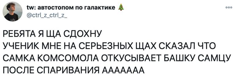 Как заработать деньги и другие смешные твиты