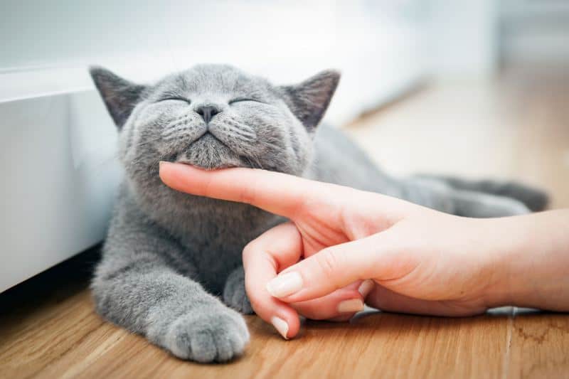 15 фактов , которые незаметно расширят ваш кругозор