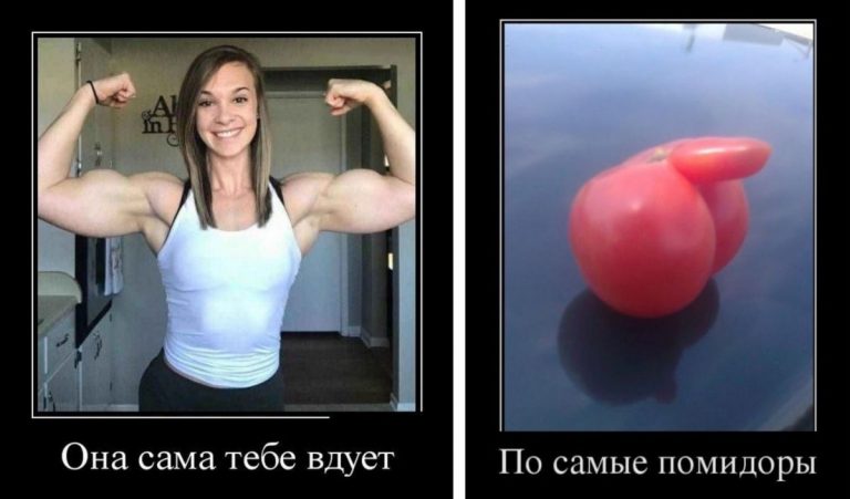 Стёбные демотиваторы, способные растянуть рот от смеха