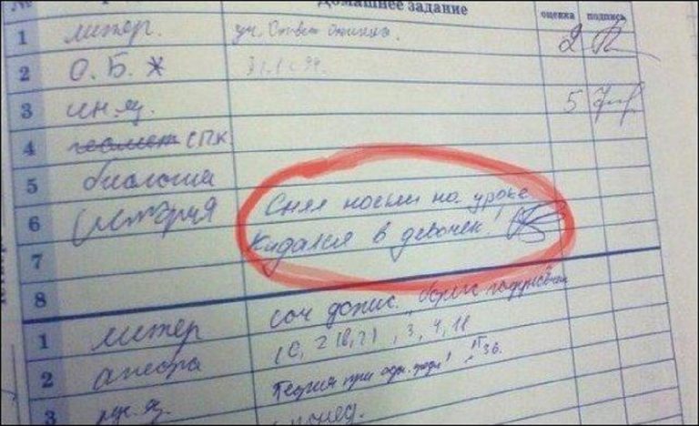 Смешные замечания из школьных дневников