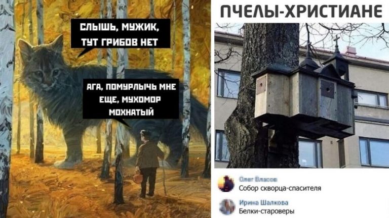 31 фото из цикла: «И смех и грех» и белки — староверы