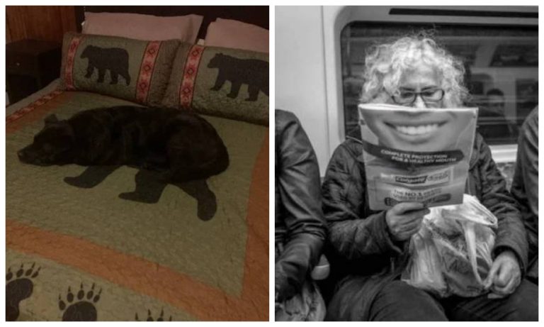 Так совпало: 15 примеров того, как фотограф поймал нужный момент