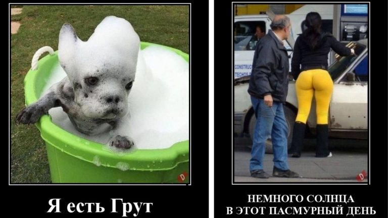 Порция ржачных демотиваторов в понедельник